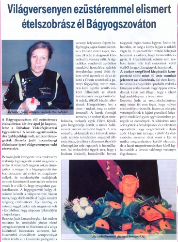 2010.12.22 - Rábaközi Magazin - Interjú Bezovics Judittal