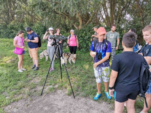 kép15