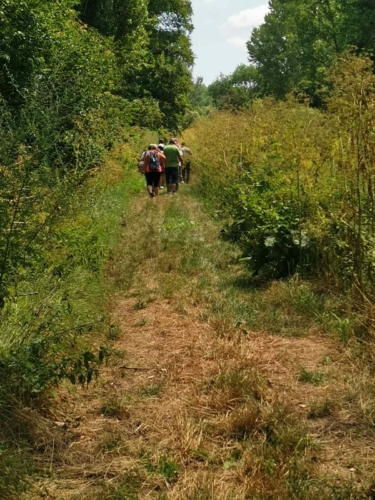 kép20 (1)